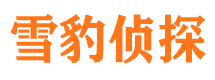 吉木乃市侦探调查公司